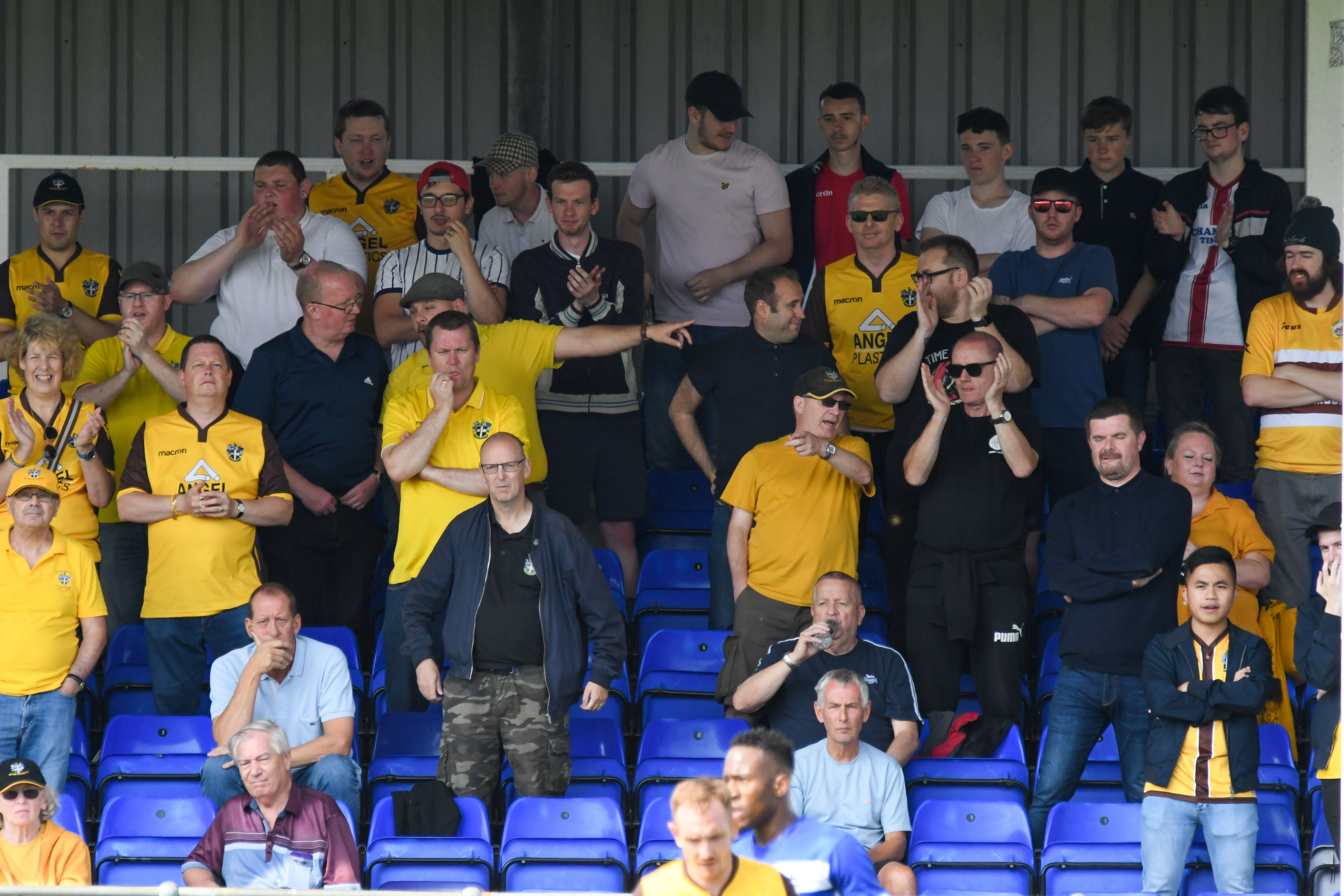 Steve Morison Relieved of Duties By Sutton United